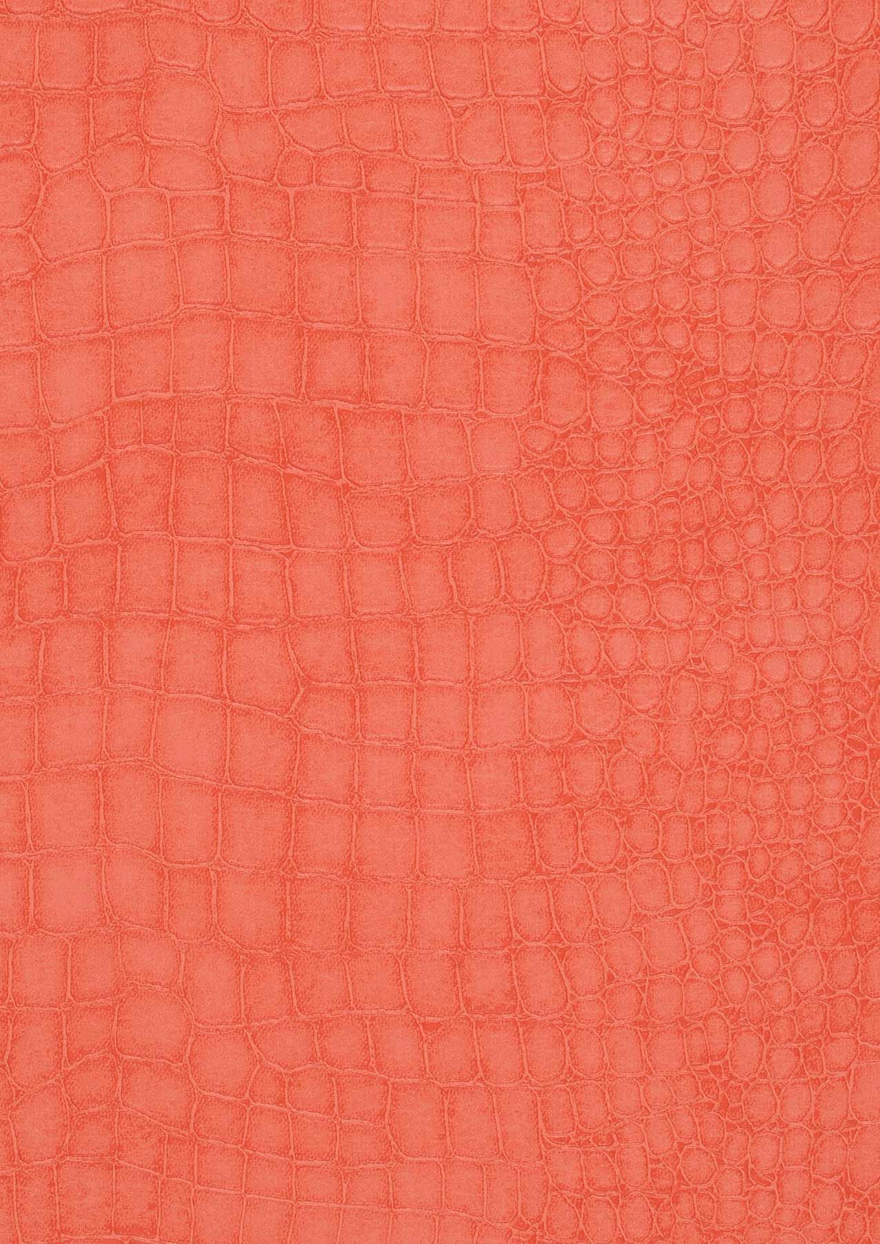 Papel pintado de la India Caiman