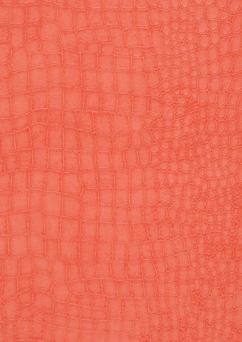 Papel pintado de la India Caiman