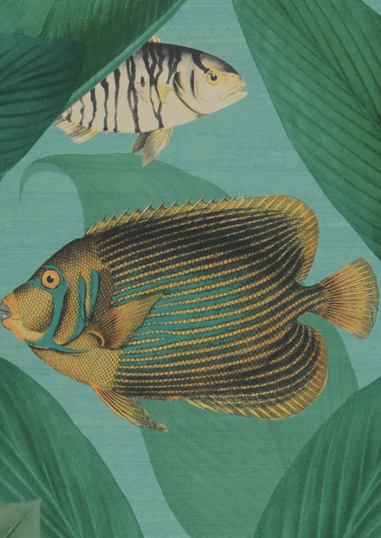 Acuario