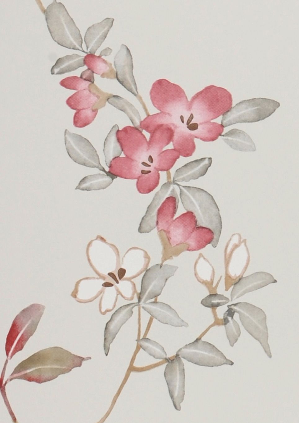 Aquarellflora