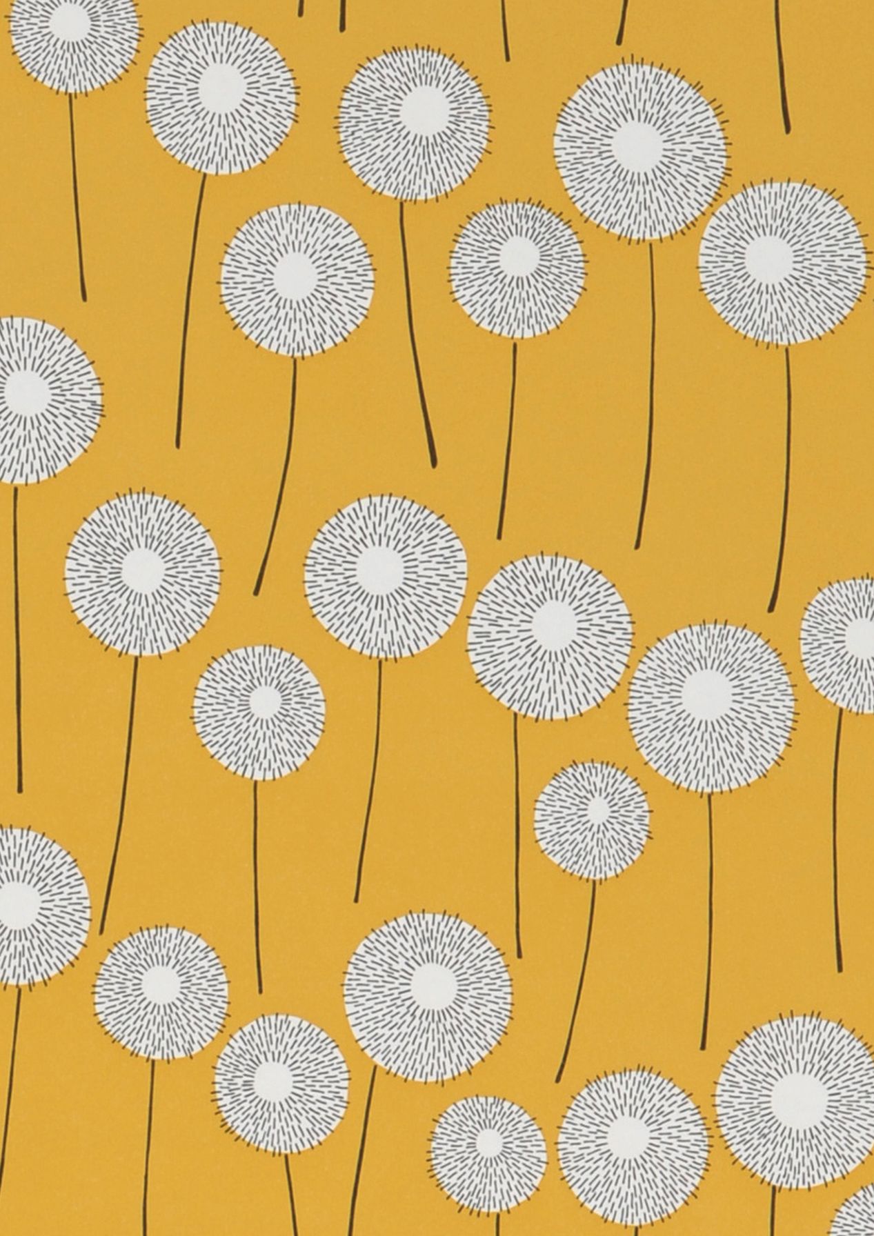 Meadow