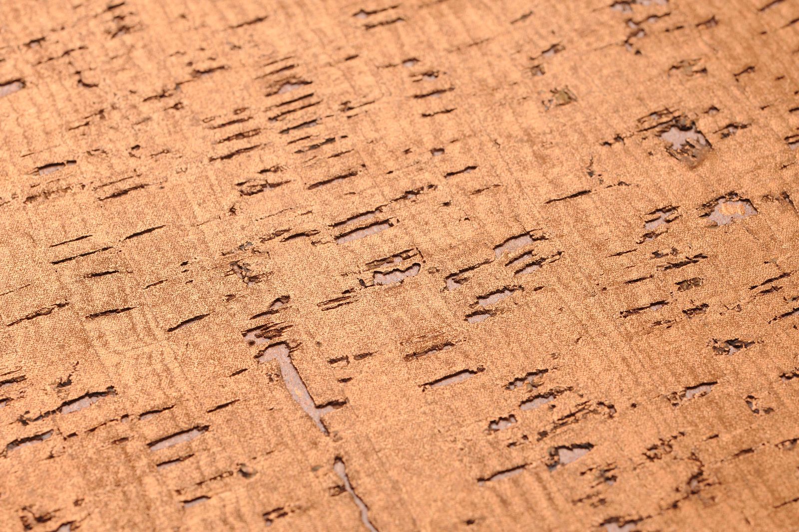 Detailansicht