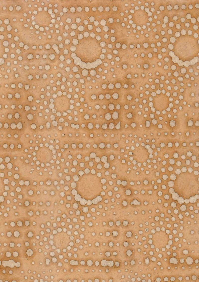 Papel pintado Le Monde Sauvage Mawe