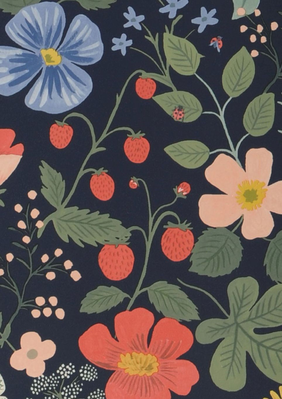 Strawberry Garden