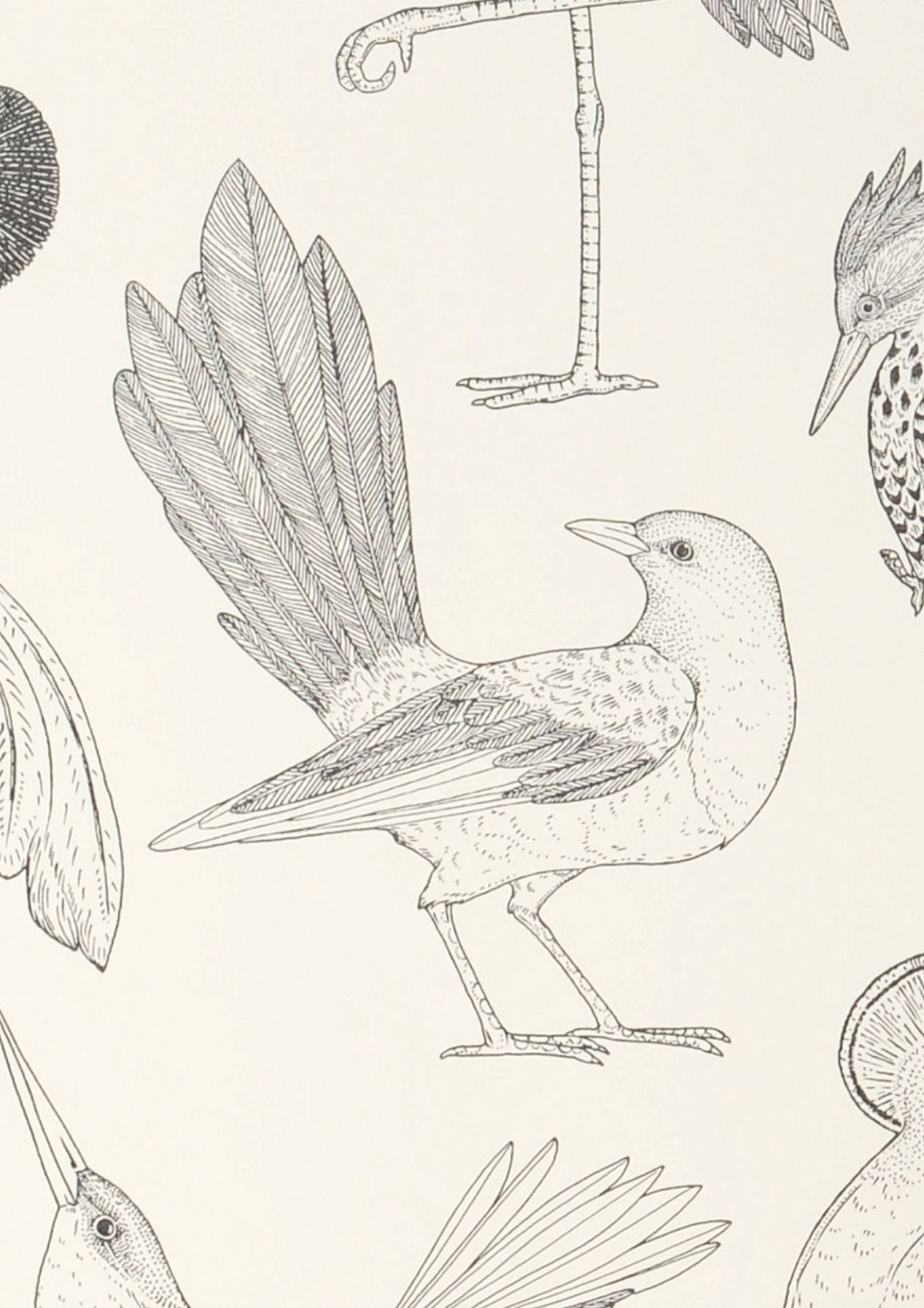 Birds of Happiness
