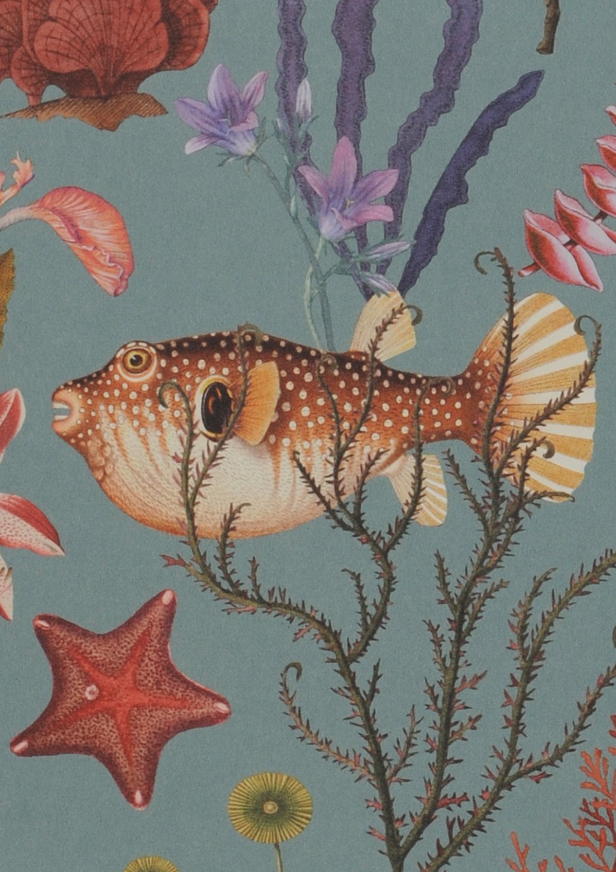 Deep Sea