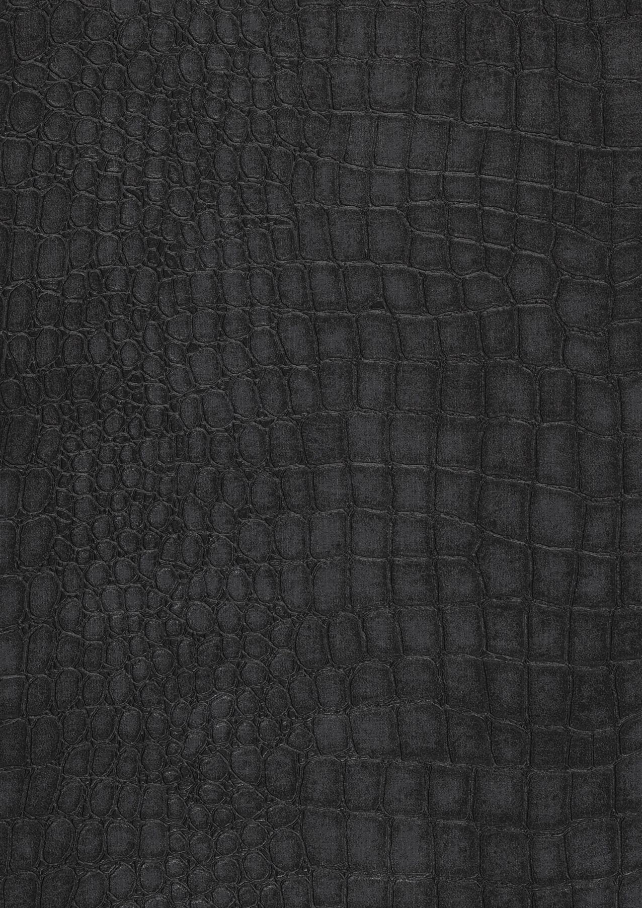 Caiman
