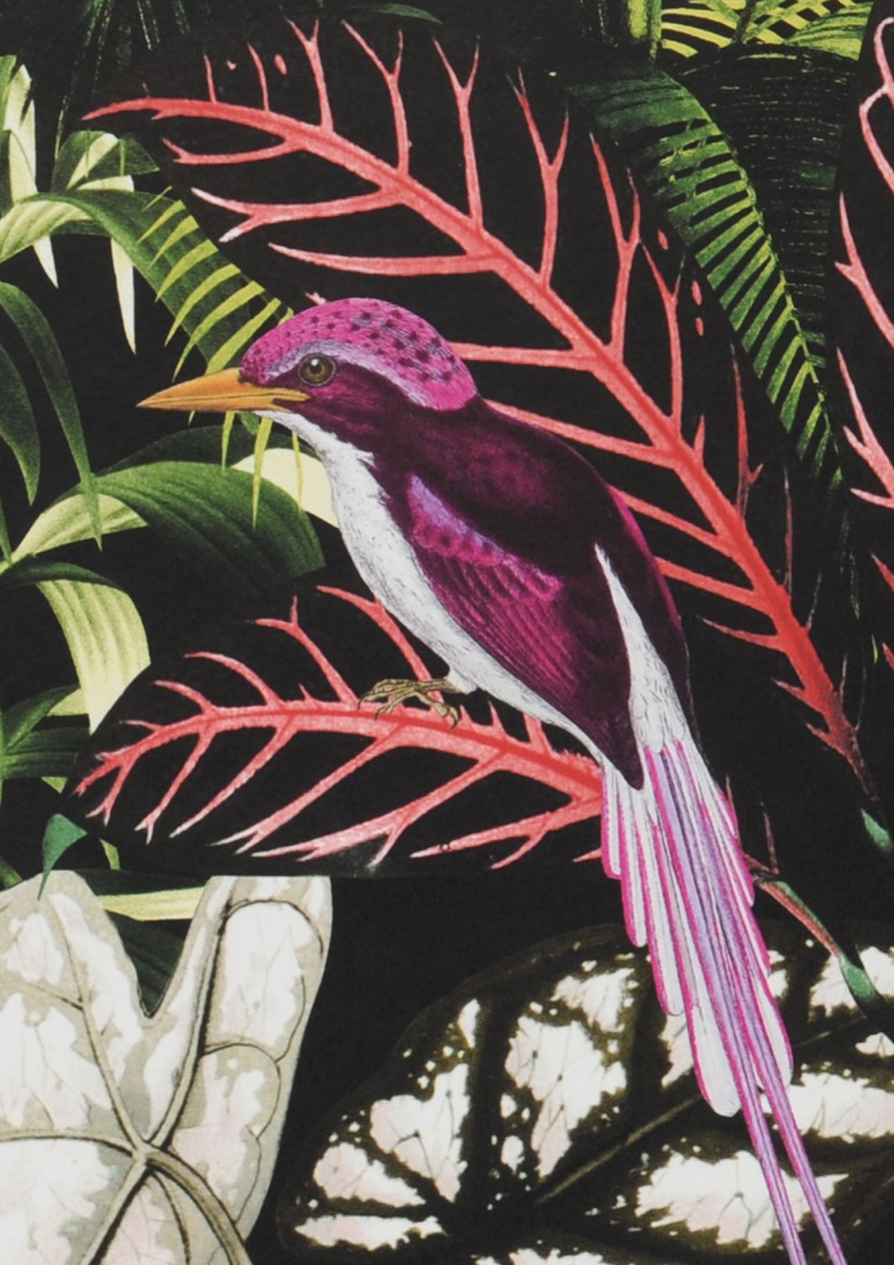 Carta da parati con uccelli Caribbean Garden