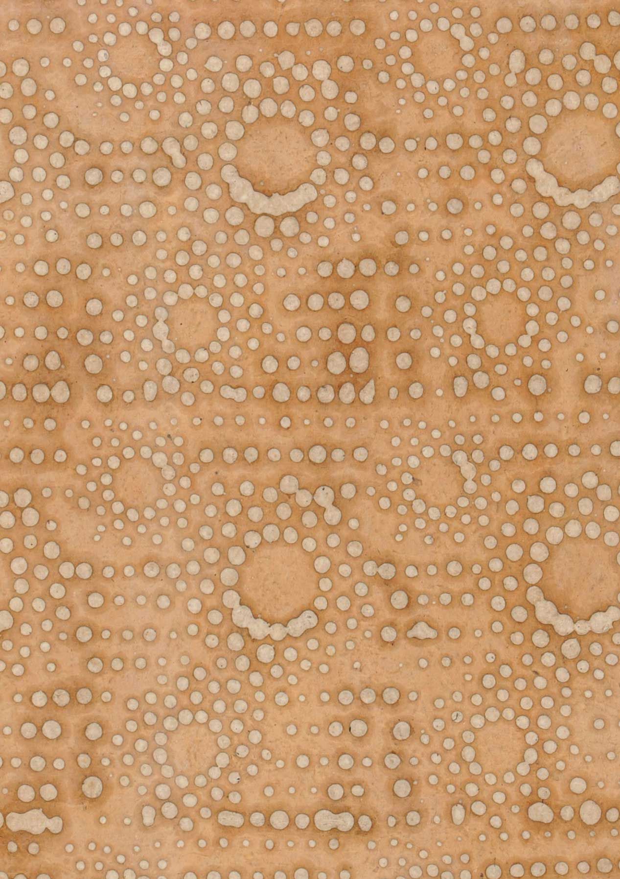 Papel pintado Le Monde Sauvage Mawe