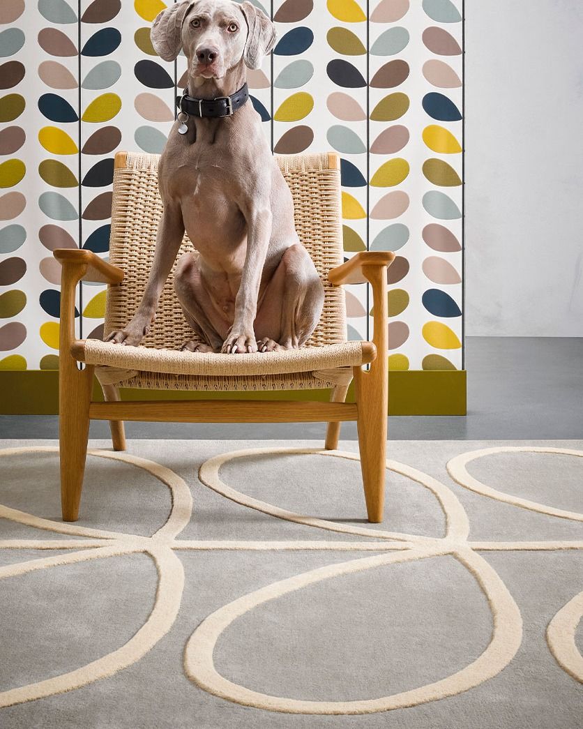 ❗❗❗NICHT NUR WÄNDE❗❗❗\nAuch Böden brauchen einen Hauch von Design\nTeppiche von Orla Kiely, der unan