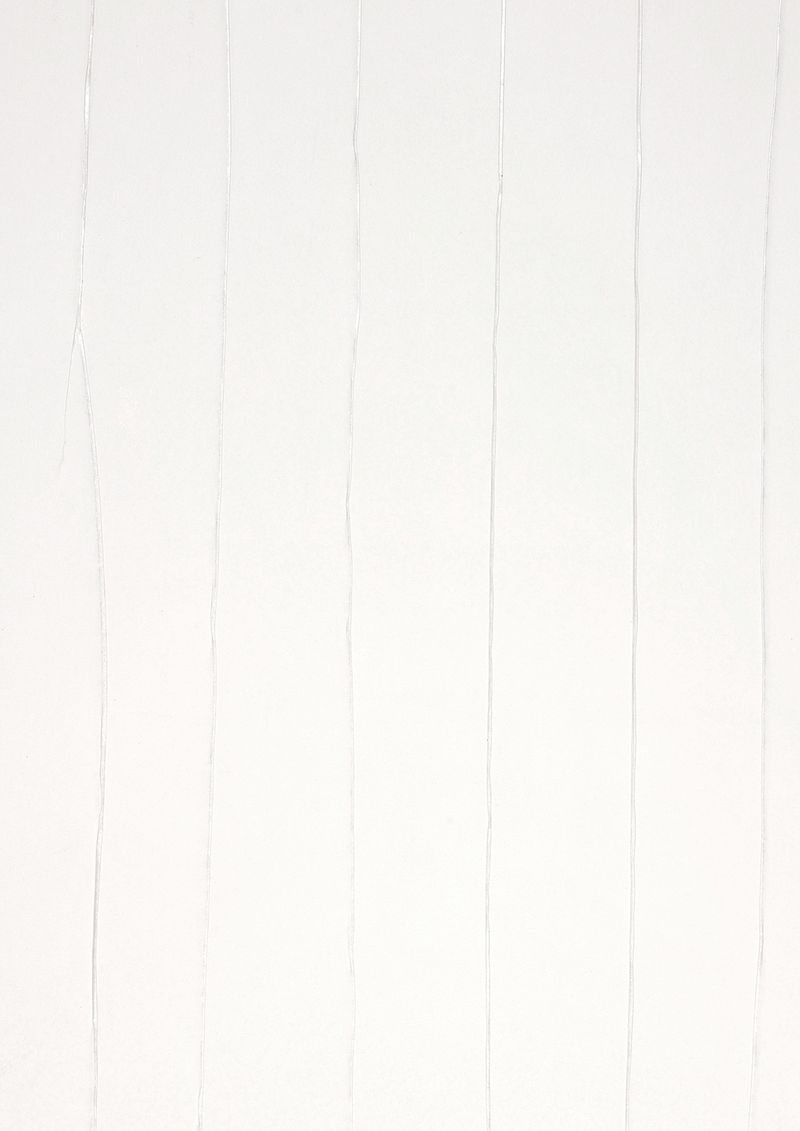 Carta da parati sgualcita Crush Couture 13