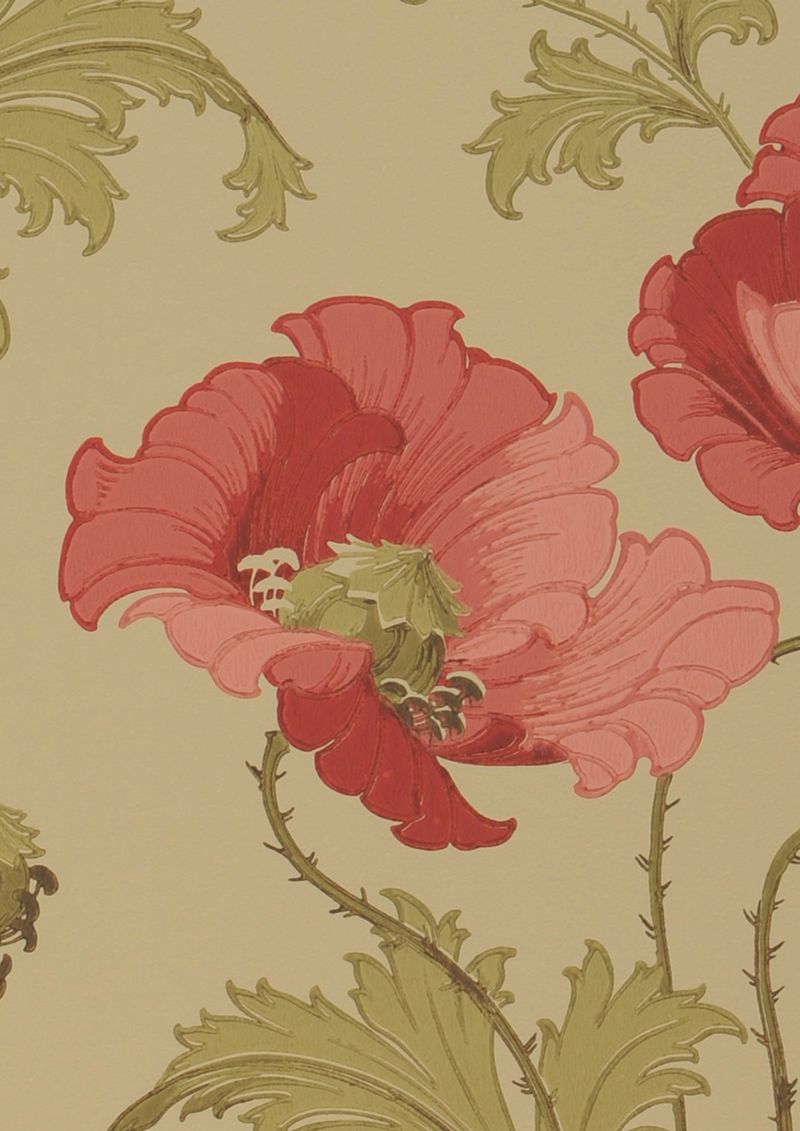 Tout Midsummer Bloom