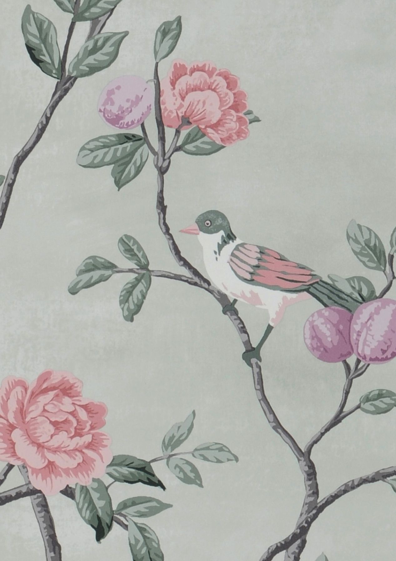 Birds in Bloom