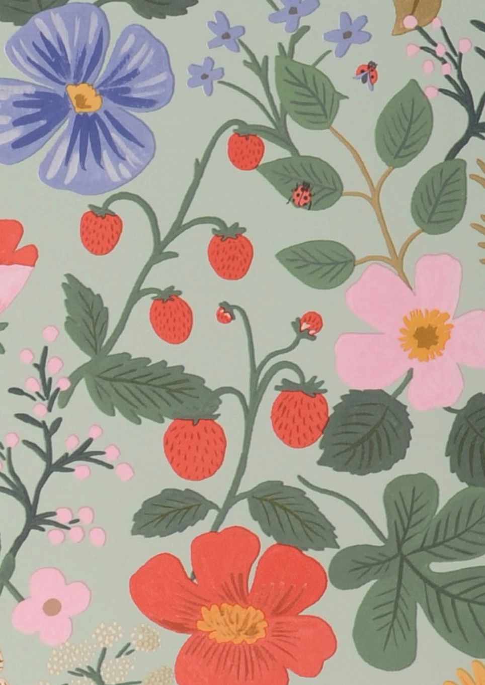 Strawberry Garden