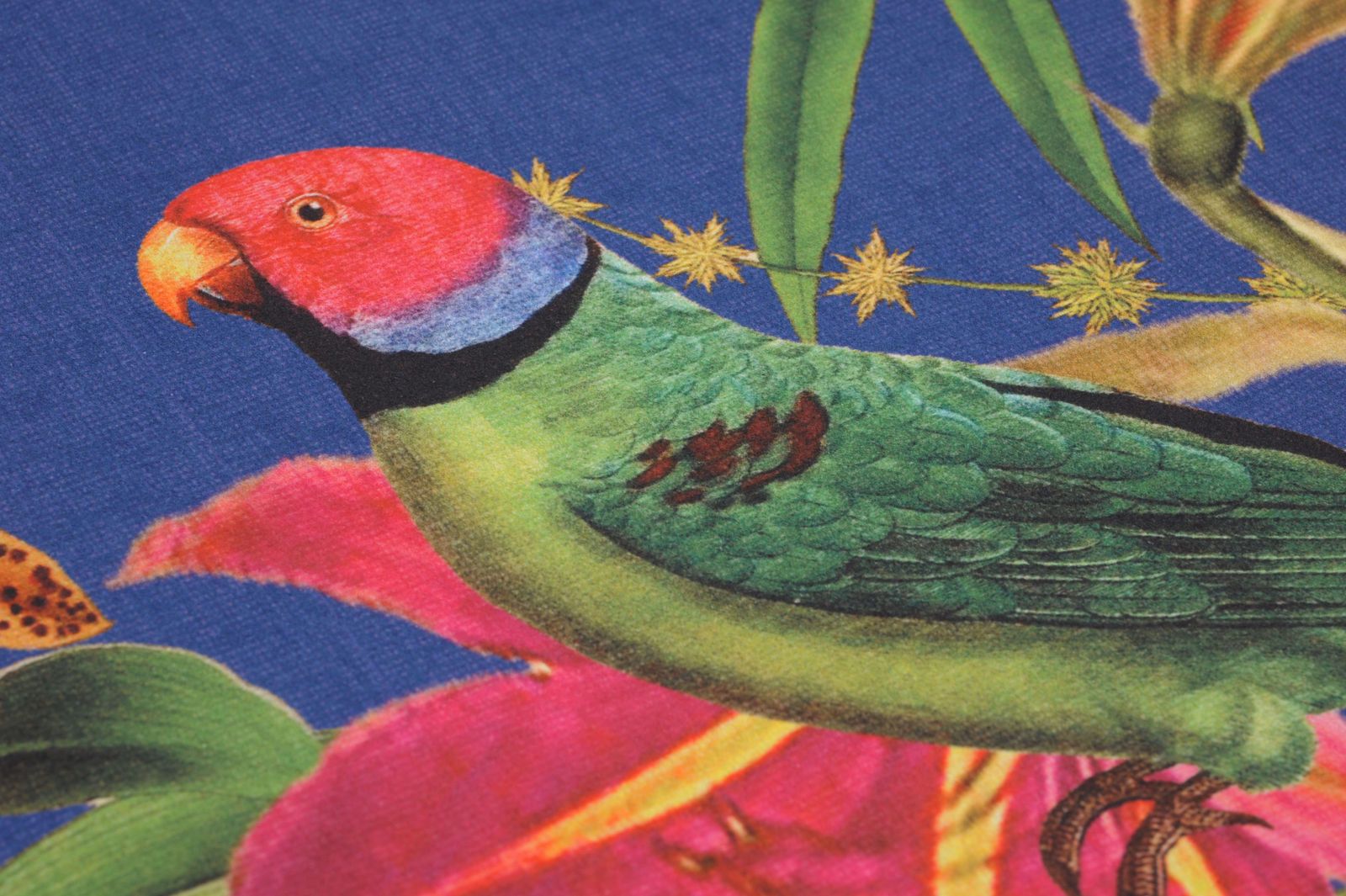 Detailansicht