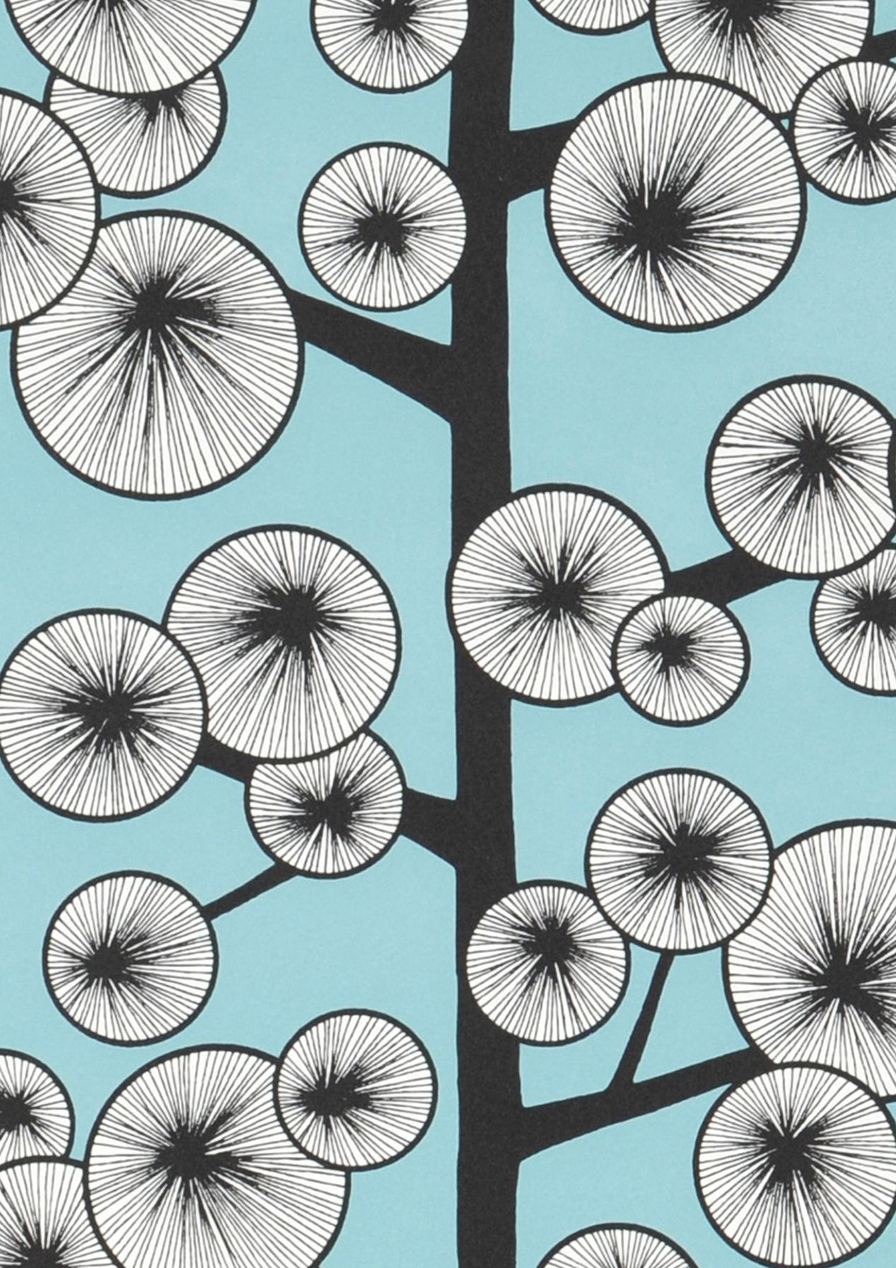 Cotton Tree