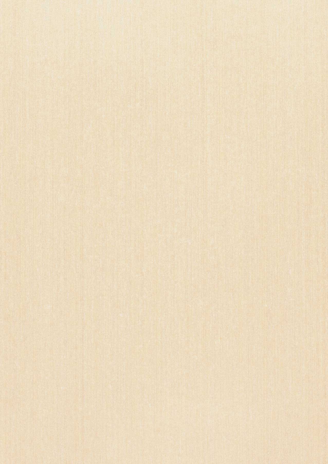 Warp Beauty 08