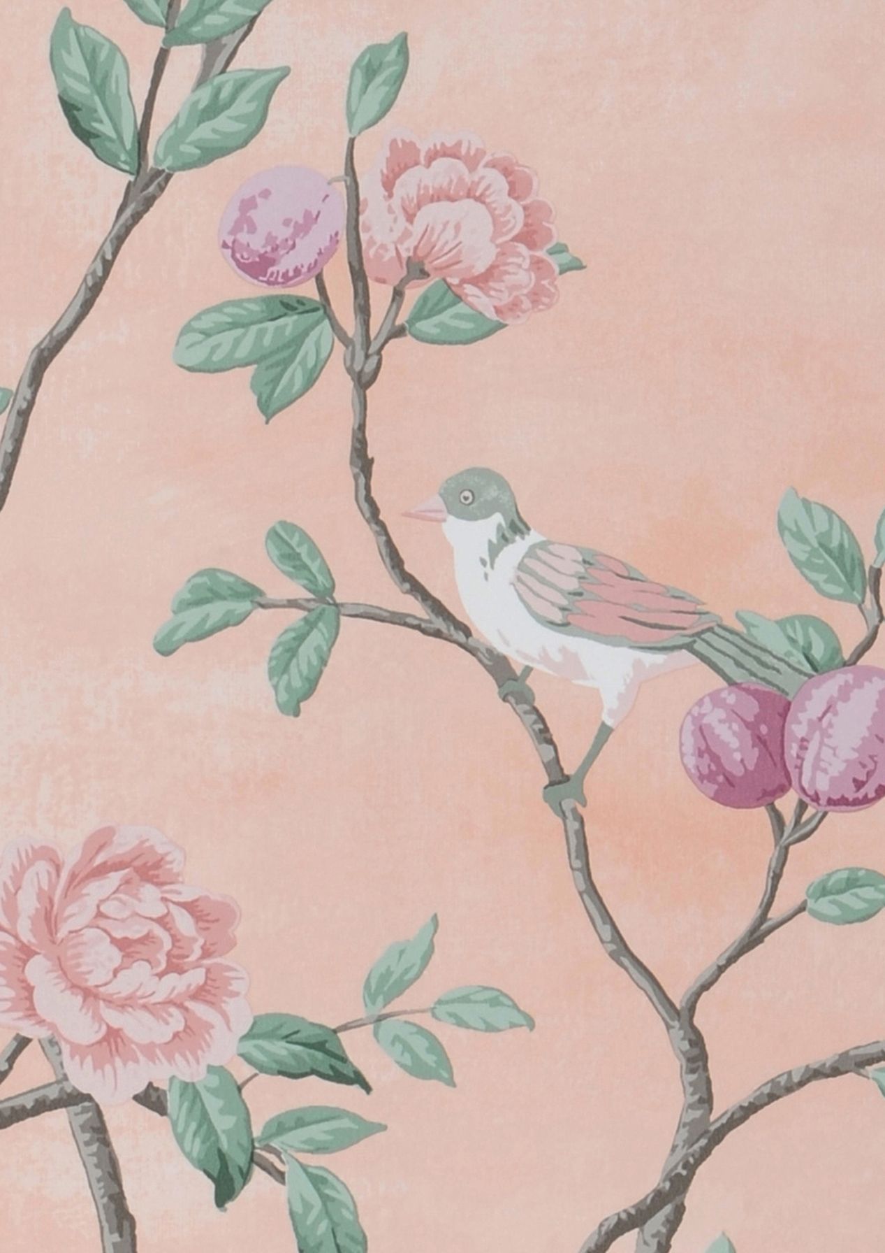 Birds in Bloom