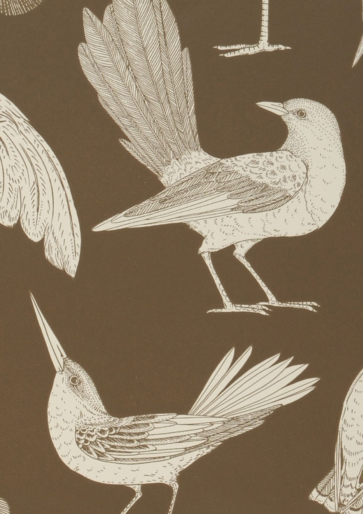 Birds of Happiness