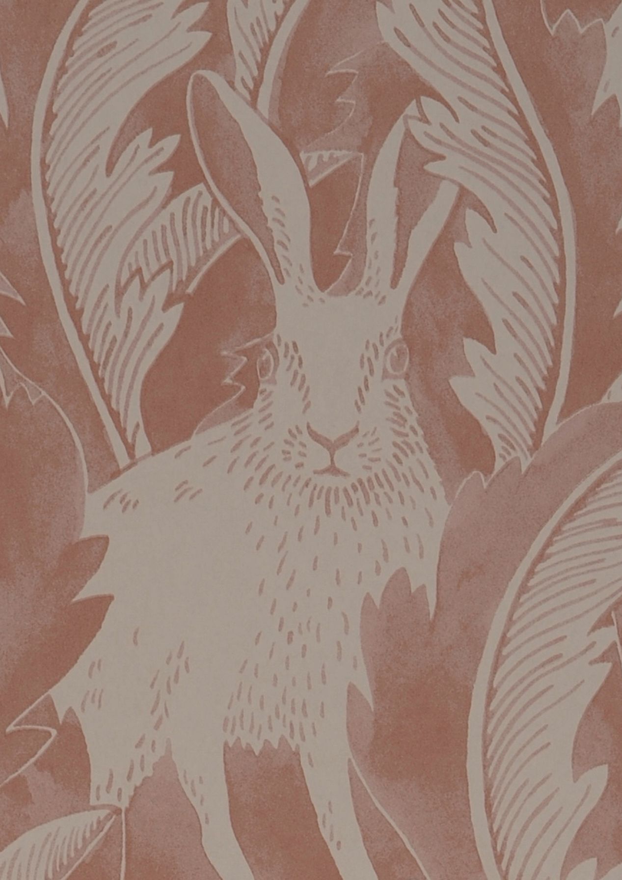 Hares in Hiding