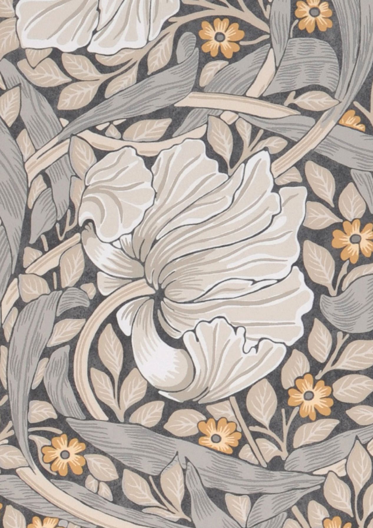 Pimpernel