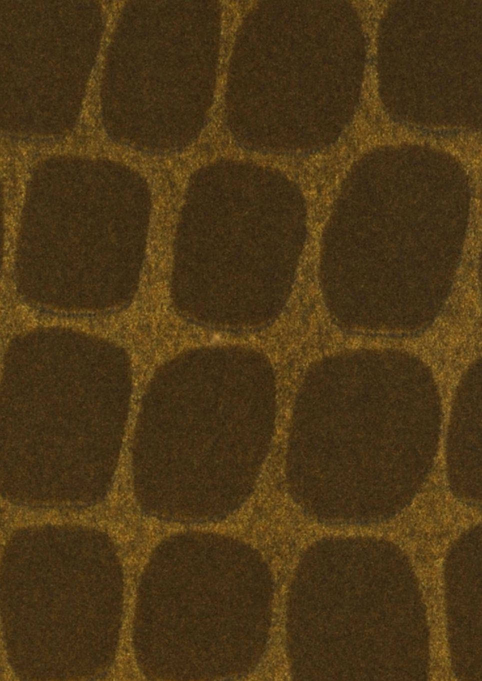 Croco Velvet