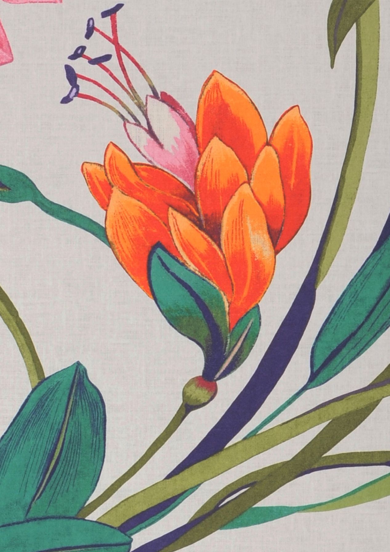 Papier peint de jungle tropicale Wild Tropic