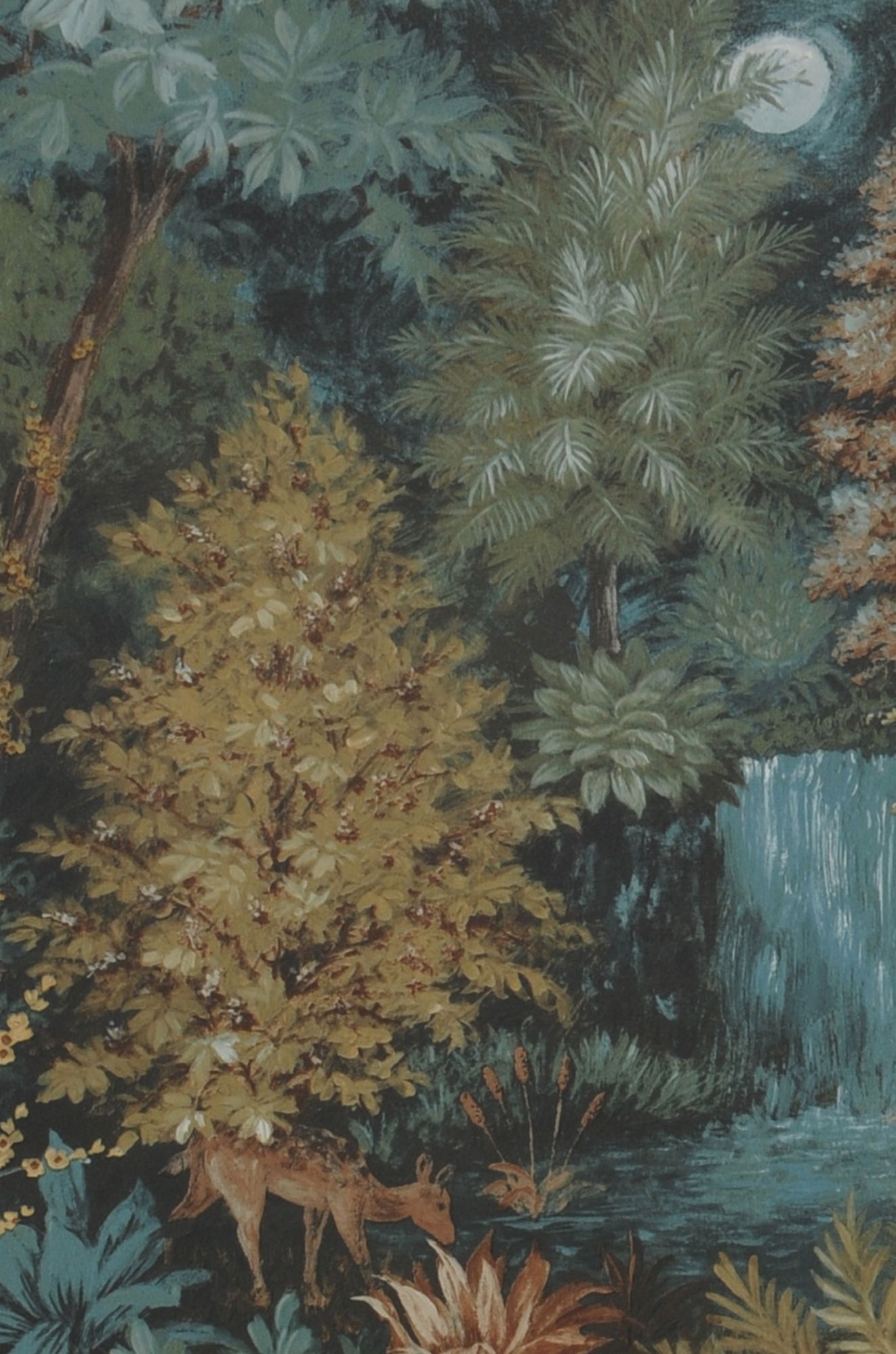 Starlight Forest