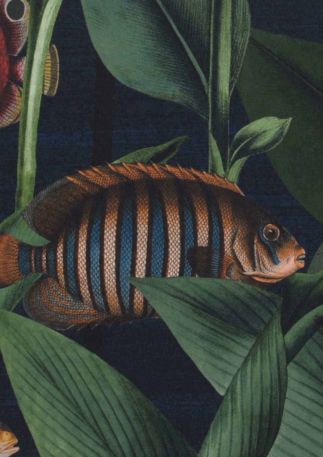 Acuario