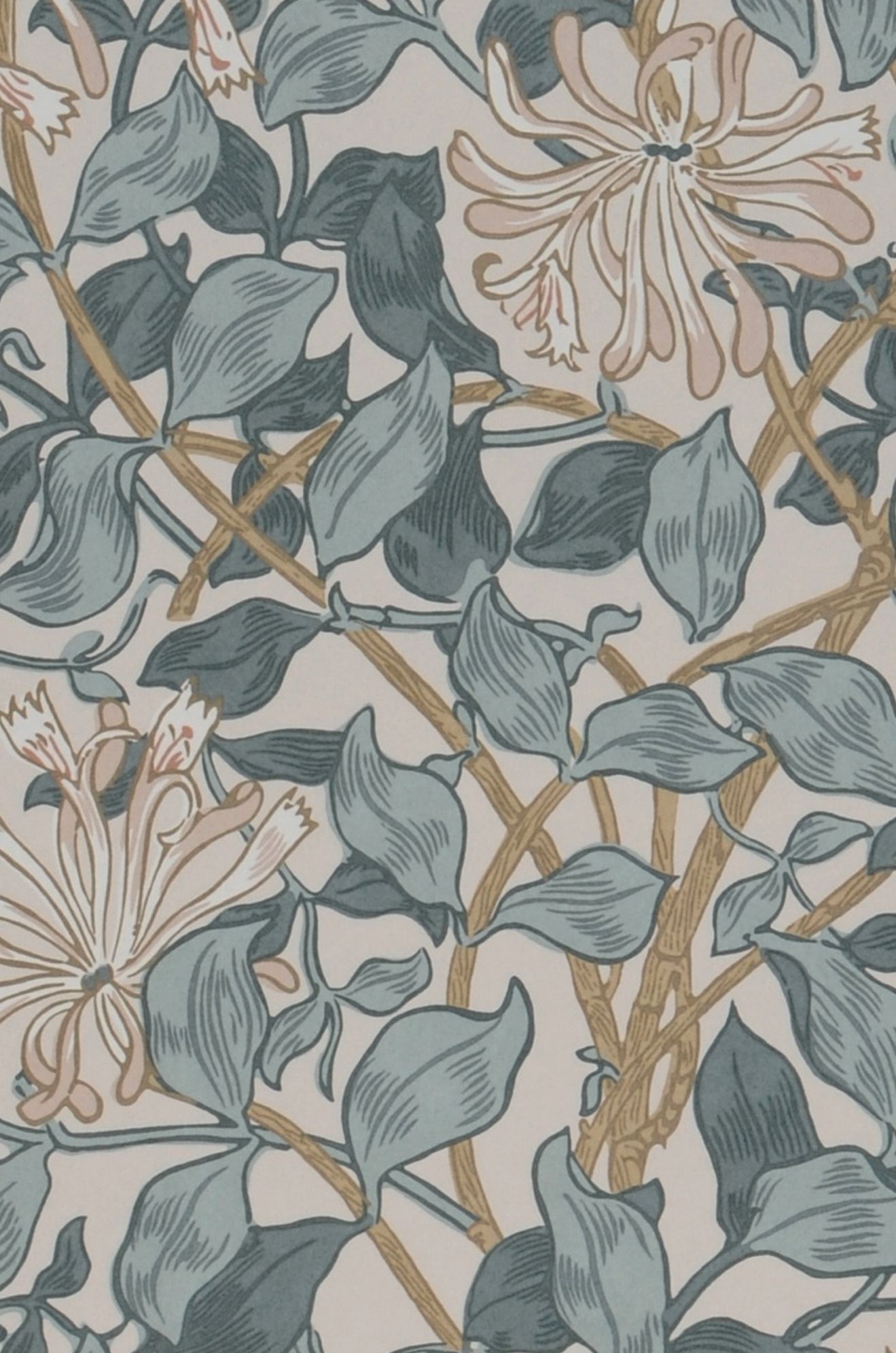 Honeysuckle Neo