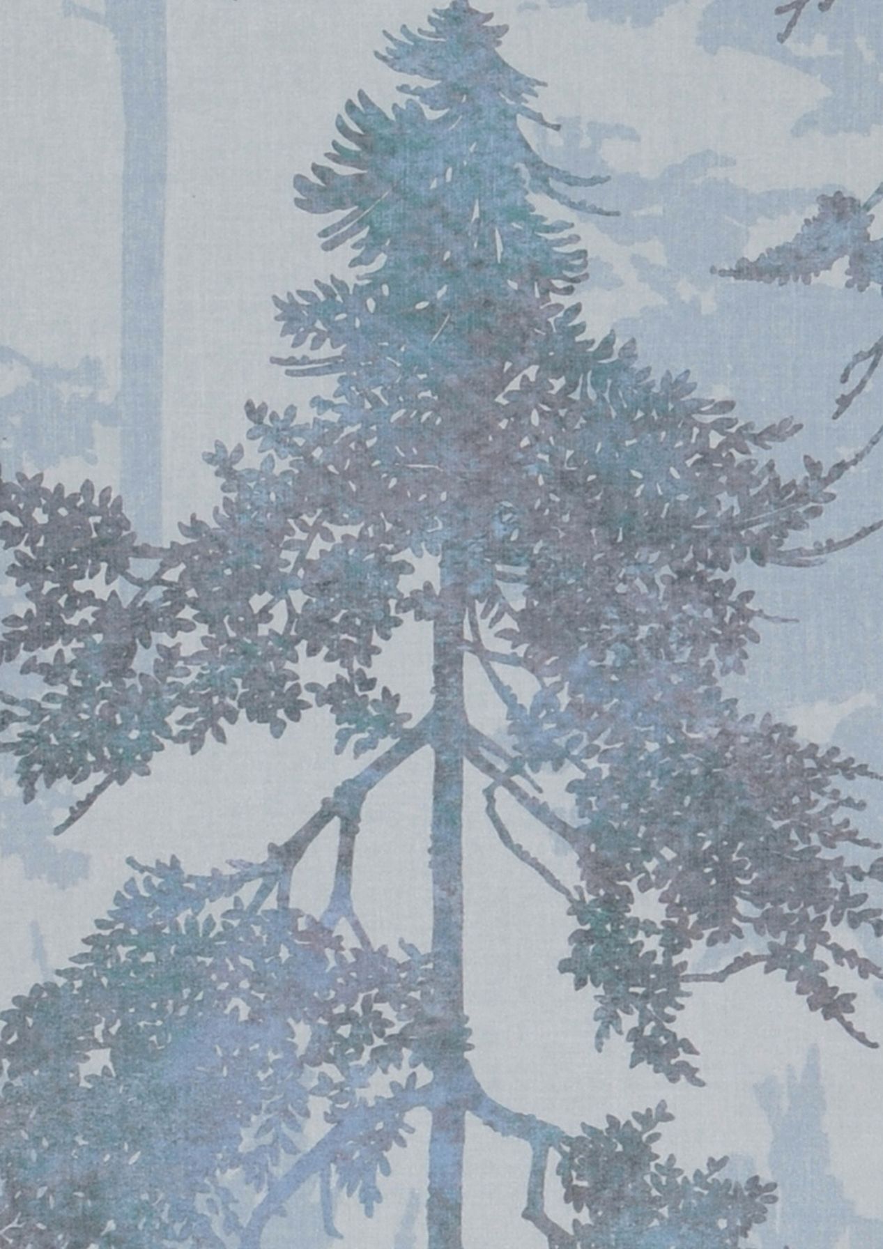 Forest Bathing