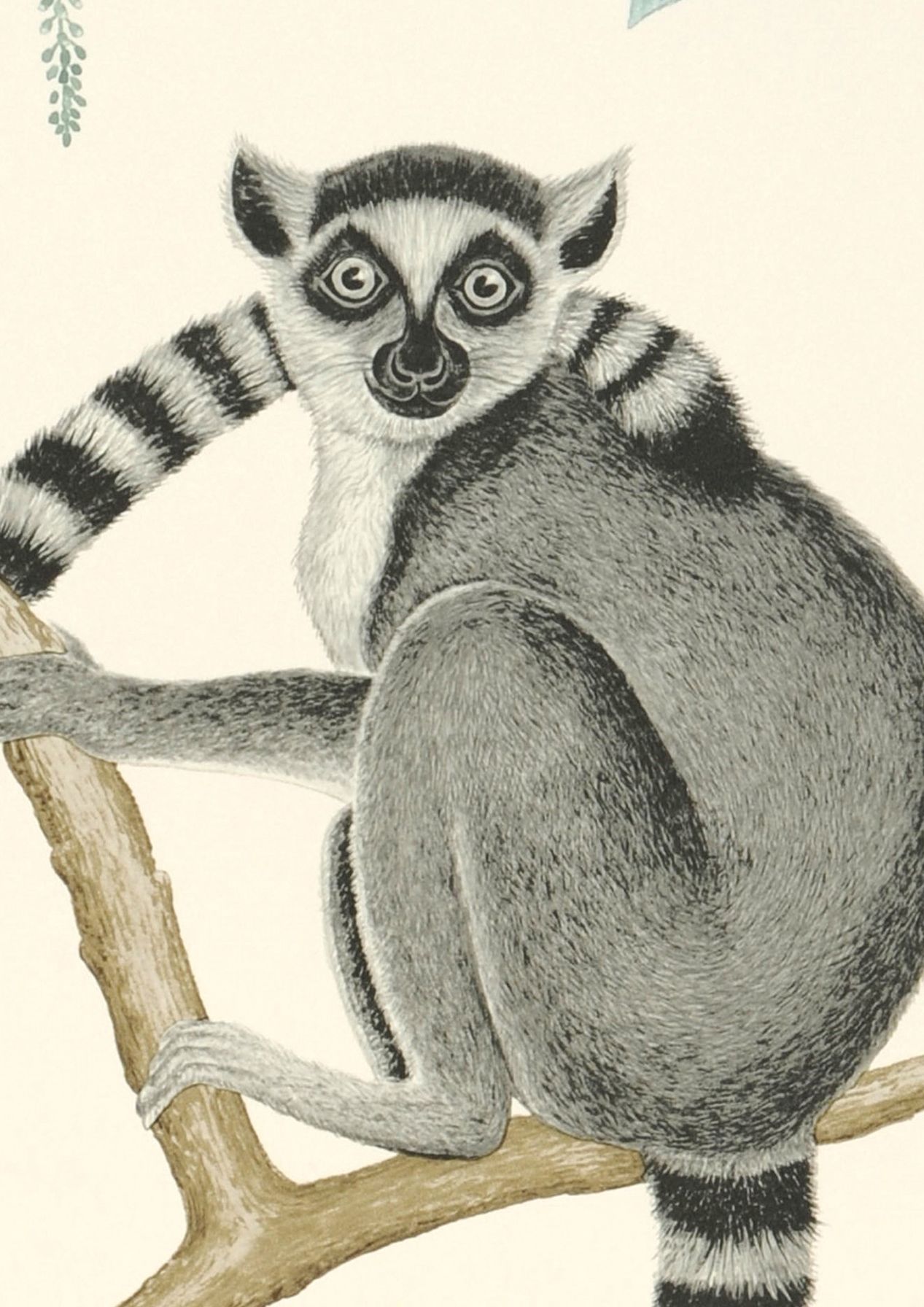 Aldo