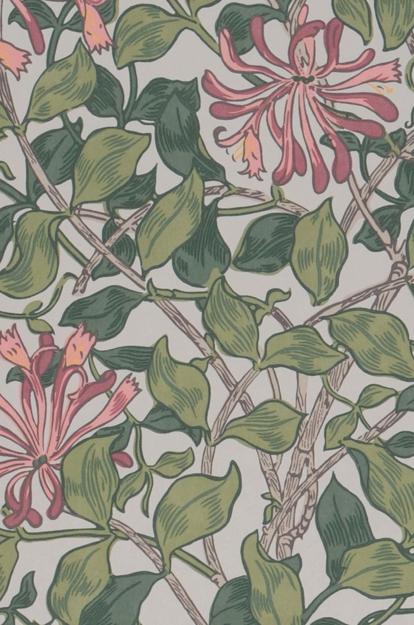 Honeysuckle Neo