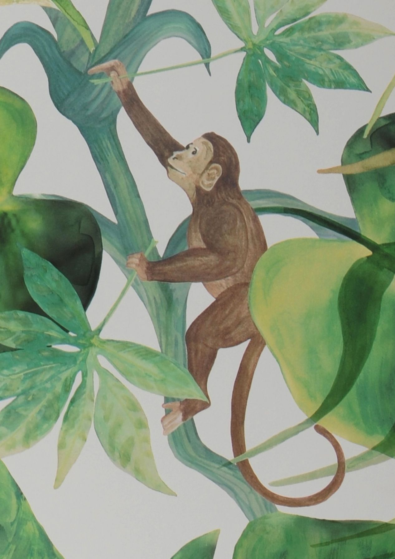 Jungle Jim