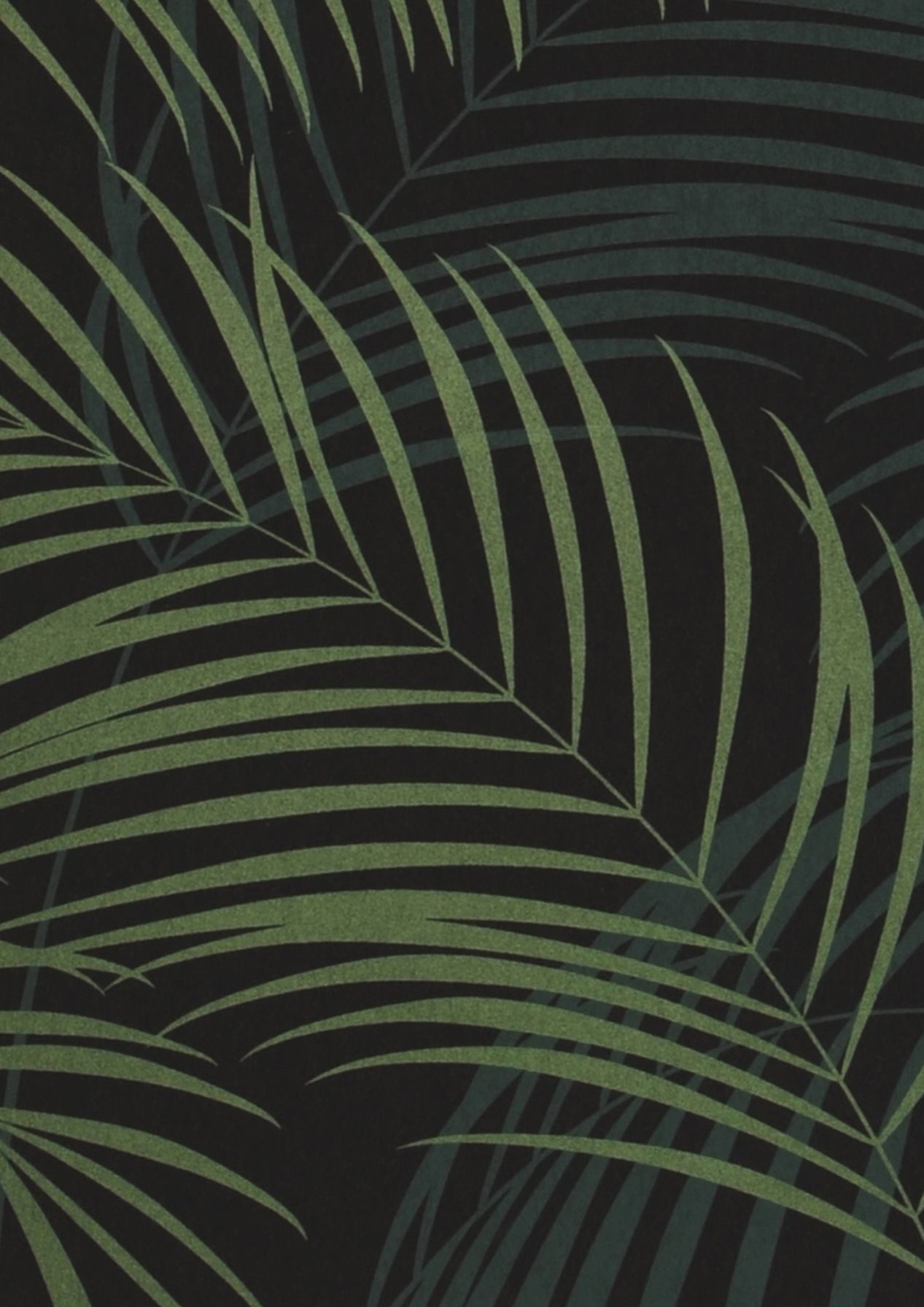 Night Palms