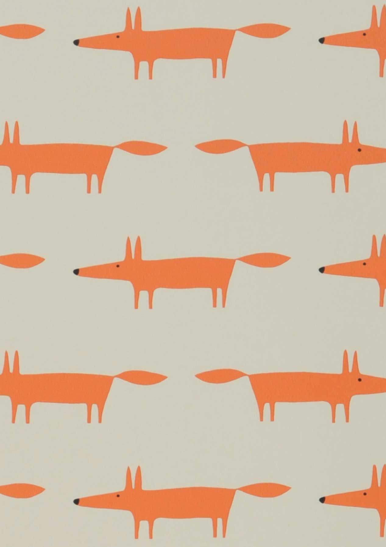 Kids Foxes
