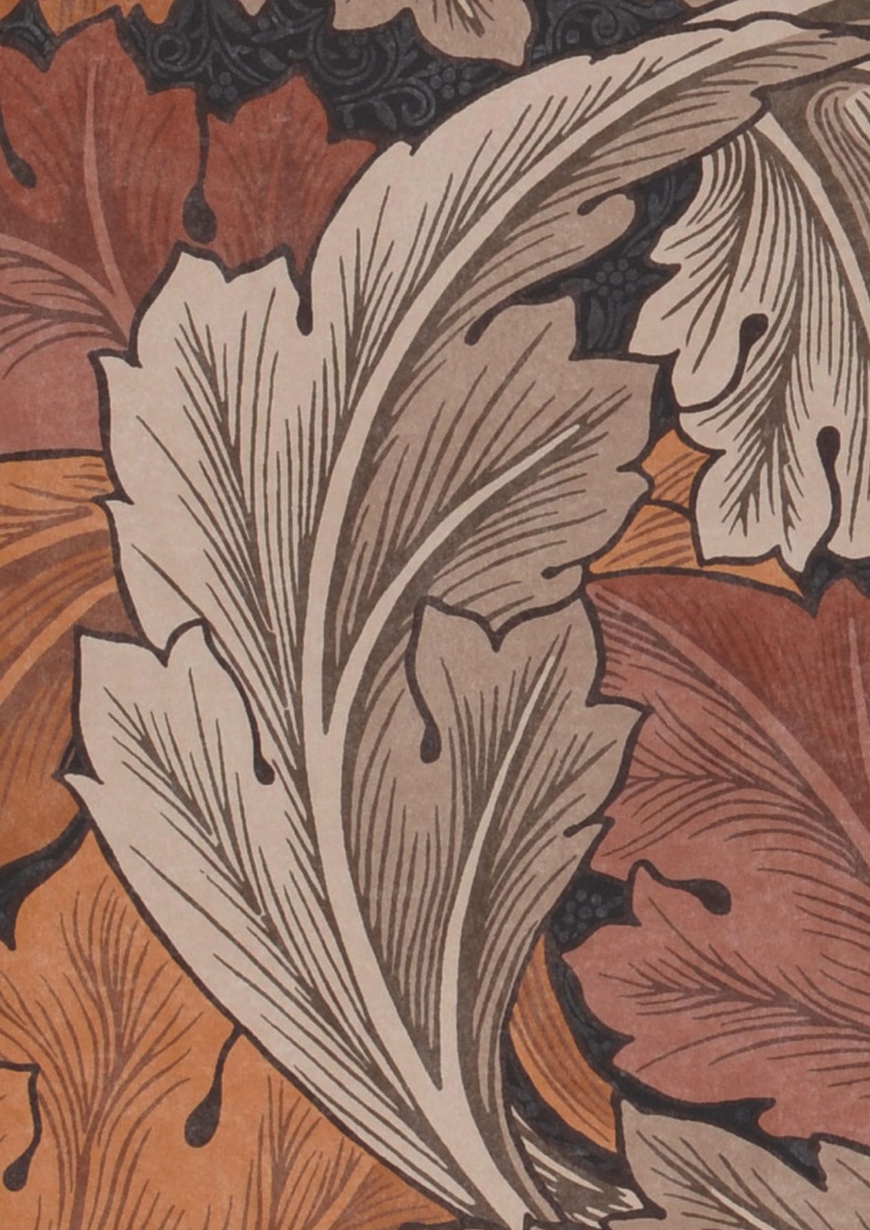 Acanthus