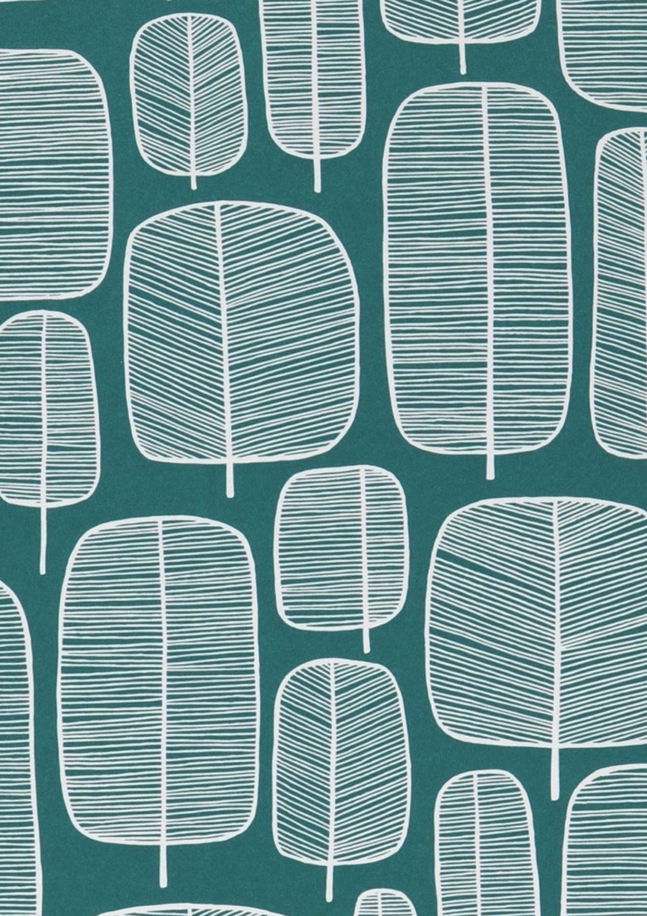 Little Trees