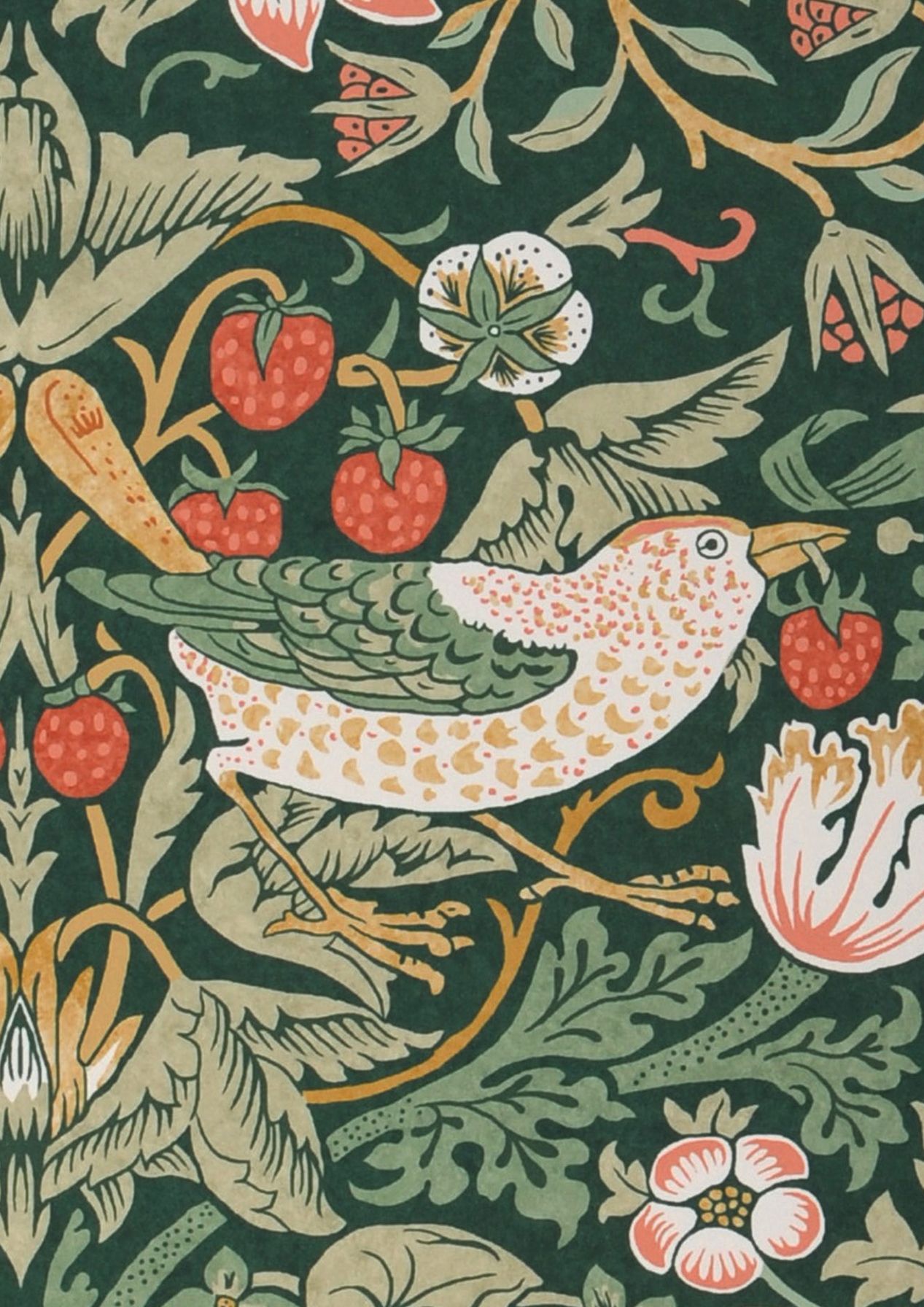 Strawberry Thief