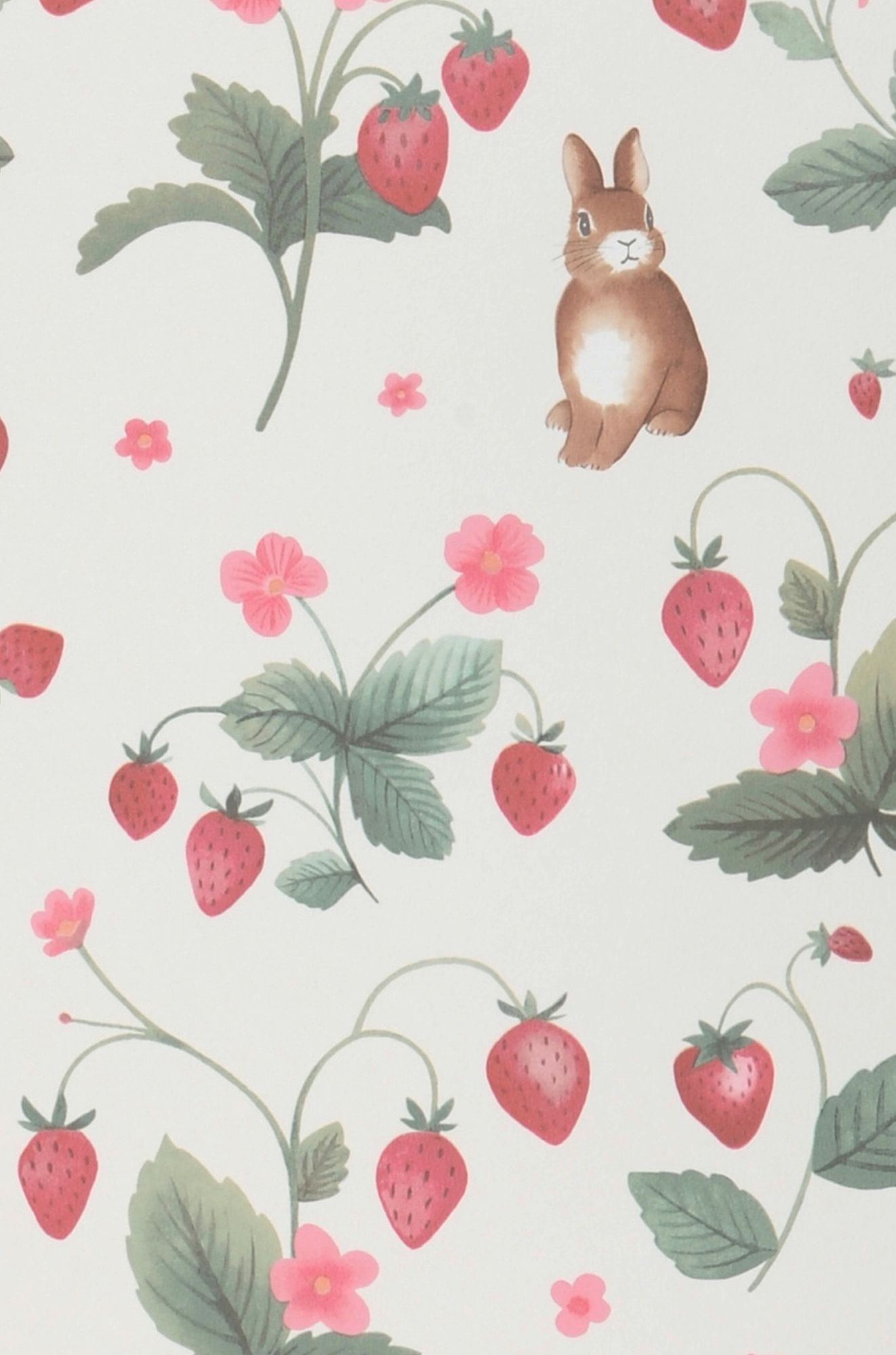 Berry Bunnies