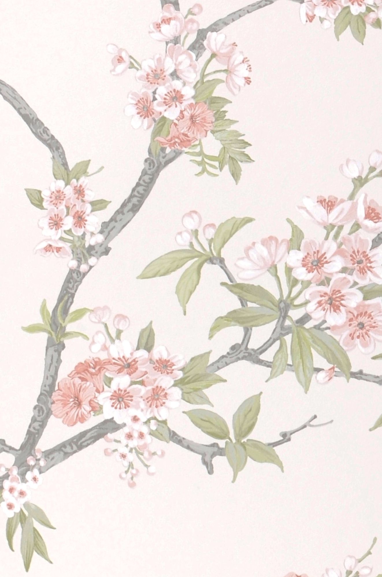Sakura Path