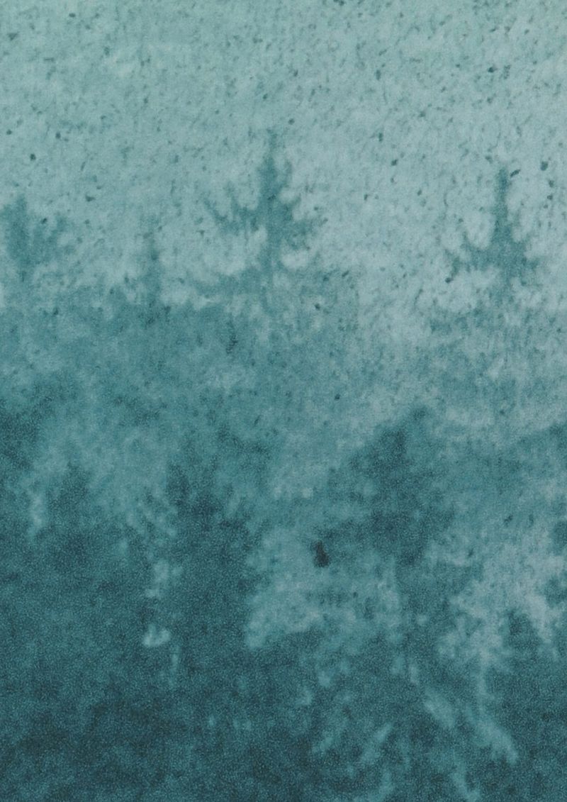 Papel pintado de bosque y árboles Ligea