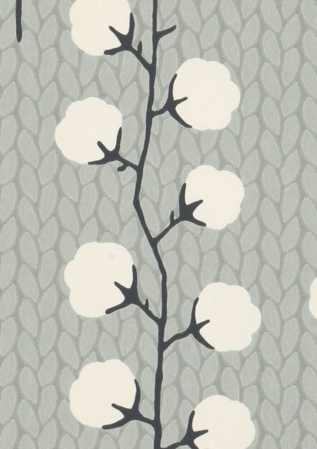 Sweet Cotton