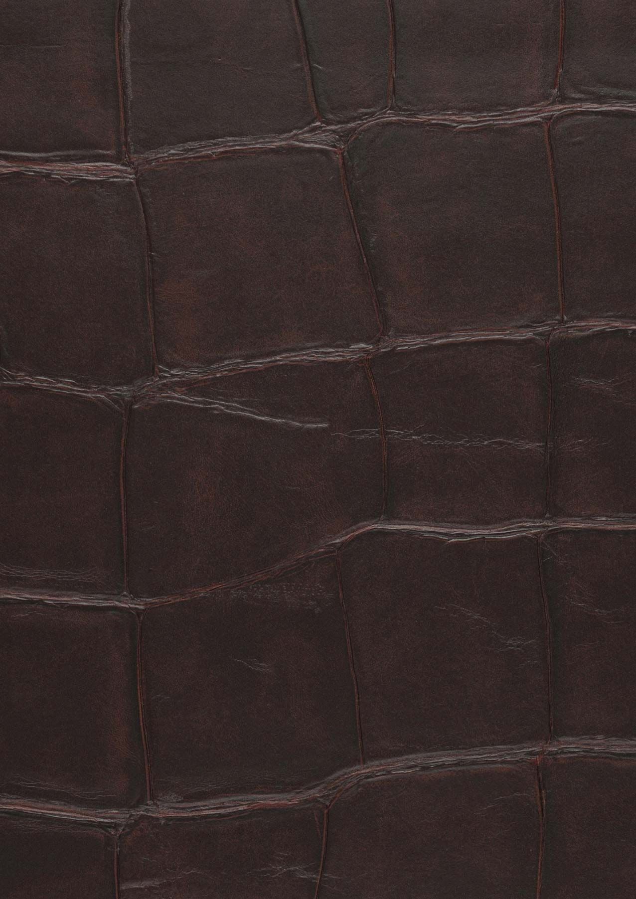 Croco 06