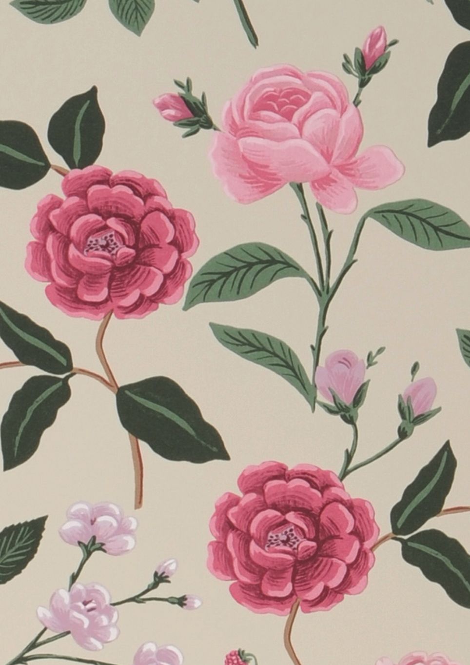 Roses