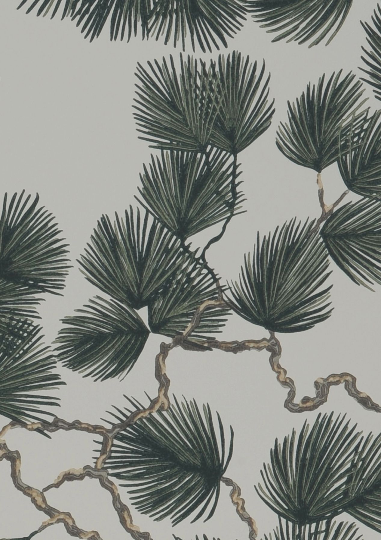 Pine