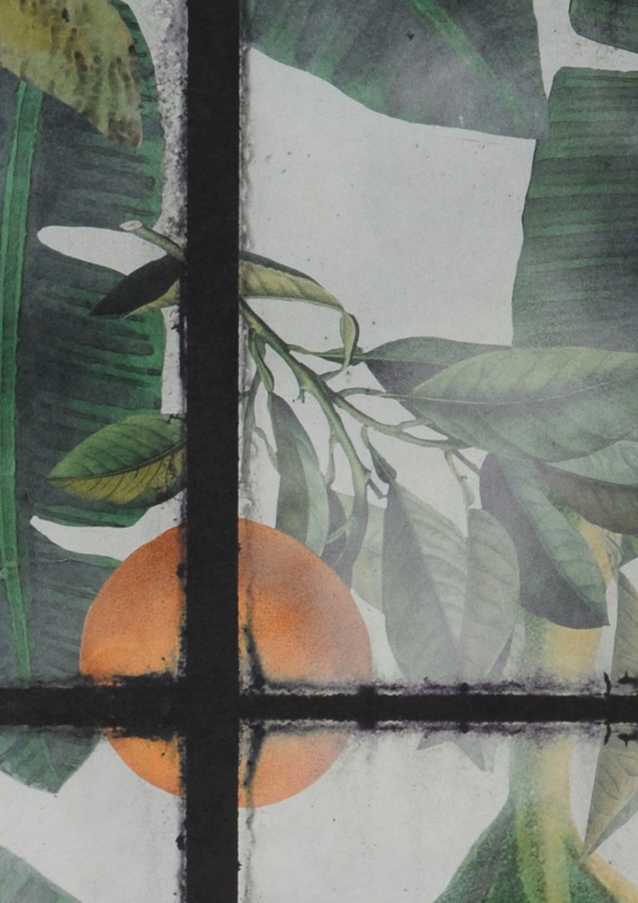 Papier peint de Mindthegap Orangerie