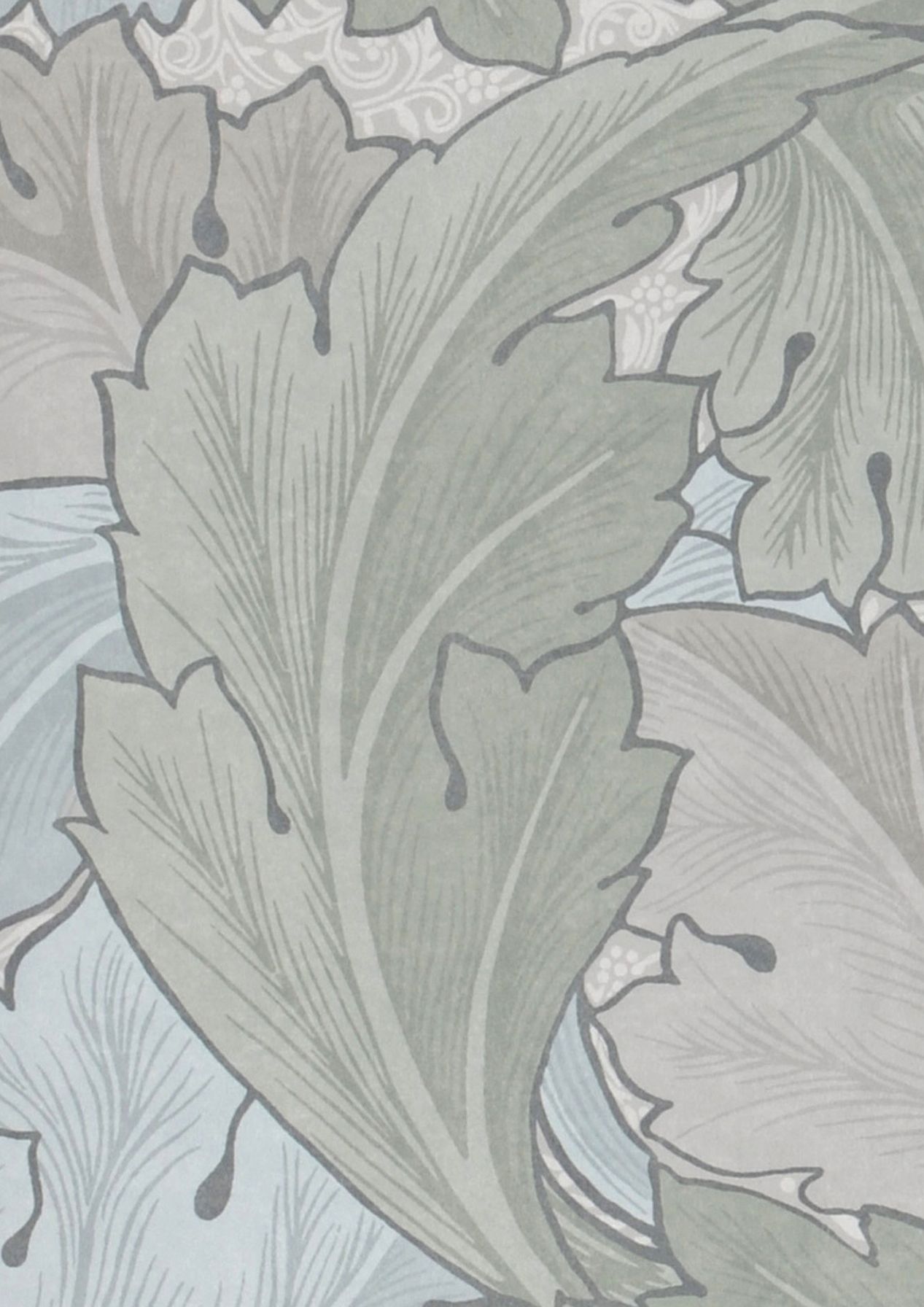 Acanthus