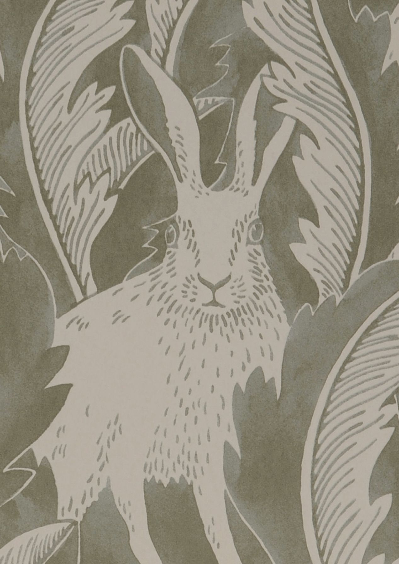 Hares in Hiding