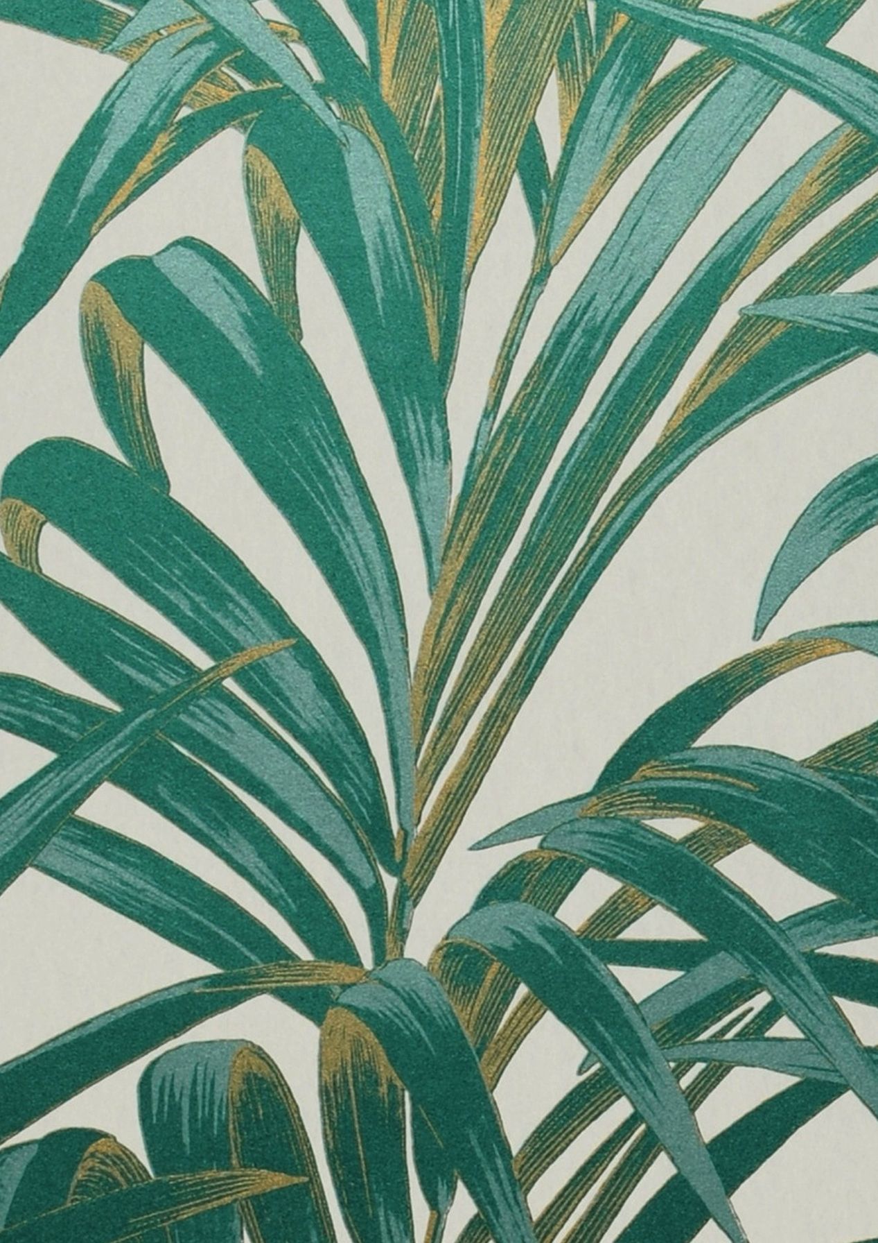 Palmetto